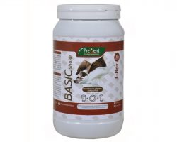 Prevent Basic Shake L-Box 581gr