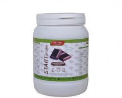 Prevent Start Shake Chocolate