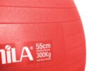 Amila Gymball 55cm Μπάλα Γυμναστικής Κόκκινη - Image 2