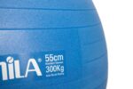 Amila Gymball 55cm Μπάλα Γυμναστικής Μπλε - Image 2