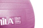 Amila Gymball 65cm Μπάλα Γυμναστικής Ροζ - Image 2