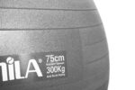 Amila Gymball 75cm Μπάλα Γυμναστικής Γκρι - Image 2