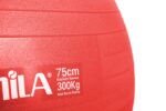 Amila Gymball 75cm Μπάλα Γυμναστικής Κόκκινη - Image 2