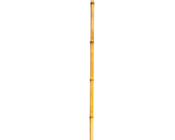 Μπαστούνι Bamboo με κοκάλινη λαβή